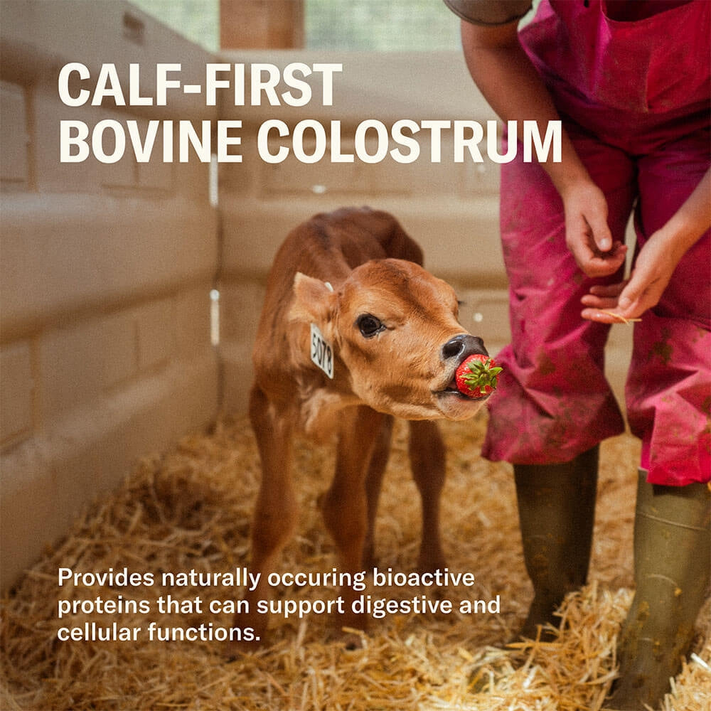 Ballerina Farm Grass Fed Whey Protein Powder, 24g Protein with Collagen Peptides, Bovine Colostrum, Hemp Hearts & Prebiotic Fiber, No Artificial Ingredients